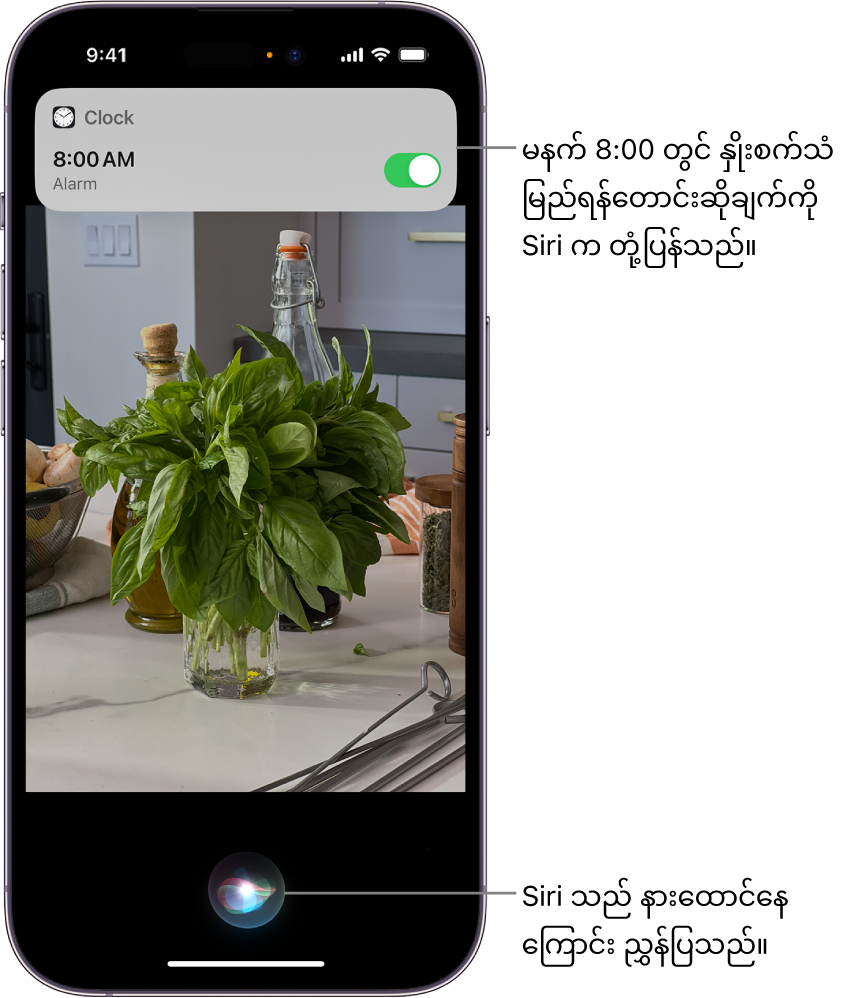 iPhone ဖန်သားပြင်။ ဖန်သားပြင်ထိပ်နားတွင် မနက် 8:00 အတွက် နှိုးစက်ပေးပြီးကြောင်း Clock အက်ပ်မှ အသိပေးထားသည်။ ဖန်သားပြင်အောက်ခြေတွင် သင်္ကေတတစ်ခုသည် Siri က နားထောင်နေကြောင်းကို ညွှန်ပြထားသည်။