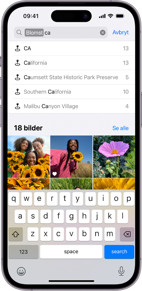 Søk-skjermen i Bilder-appen. Øverst på skjermen er søkefeltet, og under den er søkeresultatene.