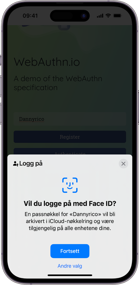 Nederste halvdel av iPhone-skjermen gir deg valget om å bruke passnøkler til å logge på nettsteder. Den har en Fortsett-knapp for lagring av passnøkler og en Andre valg-knapp.