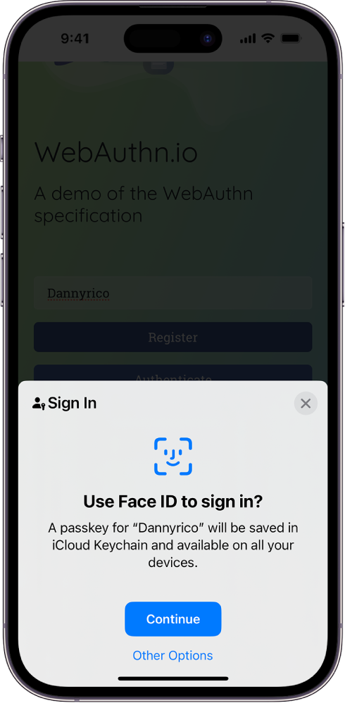 Gjysma e poshtme e ekranit të iPhone jep mundësinë e përdorimit të çelësave të kalimit për t'u identifikuar në një sajt uebi. Ai ka një buton Continue për të ruajtur një çelës kalimi dhe një buton Other Options.