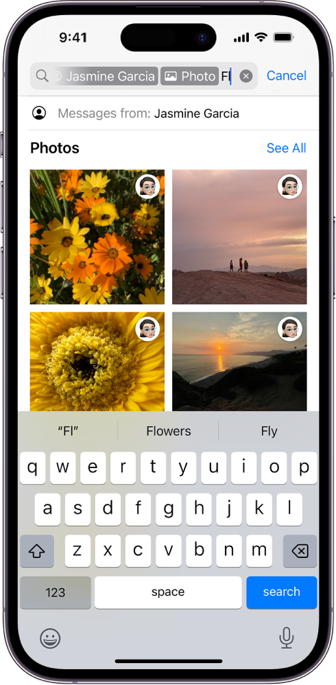 Поље за претрагу у апликацији Messages. Поље за претрагу садржи ознаку која ограничава претрагу на фотографије истог пошиљаоца.