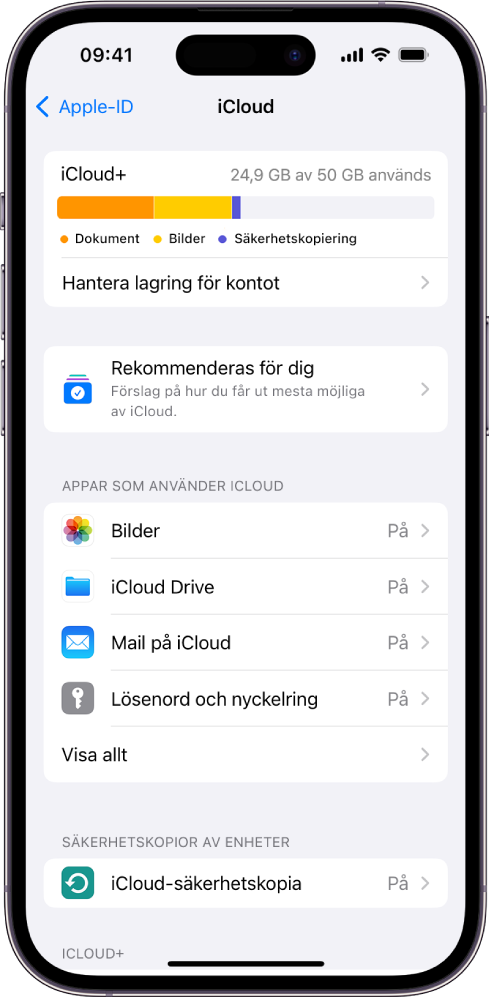 iCloud-inställningsskärmen med mätaren för lagringsutrymmet på iCloud och en lista med appar och funktioner som kan användas med iCloud.