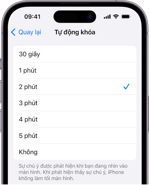 Màn hình Tự động khóa, với các cài đặt cho khoảng thời gian trước khi iPhone tự động khóa.