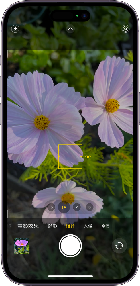 在「相片」模式中的「相機」。在取景器中，焦點鎖定在拍攝對像上，在拍攝對象旁邊有一個用於調整亮度級別的滑桿。