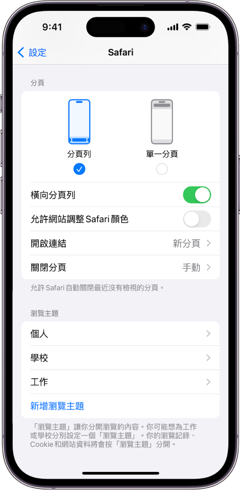 畫面顯示兩個 Safari 佈局選項：「分頁列」和「單一分頁」。