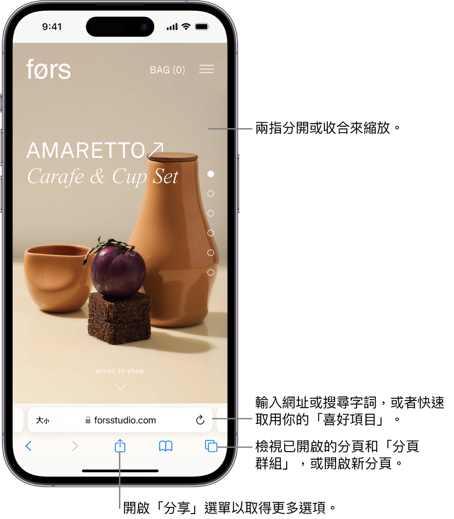 在 Safari 中開啟一個網站，網址欄位在底部。螢幕底部從左到右依序是：「上一頁」、「下一頁」、「分享」、「書籤」和「分頁」按鈕。