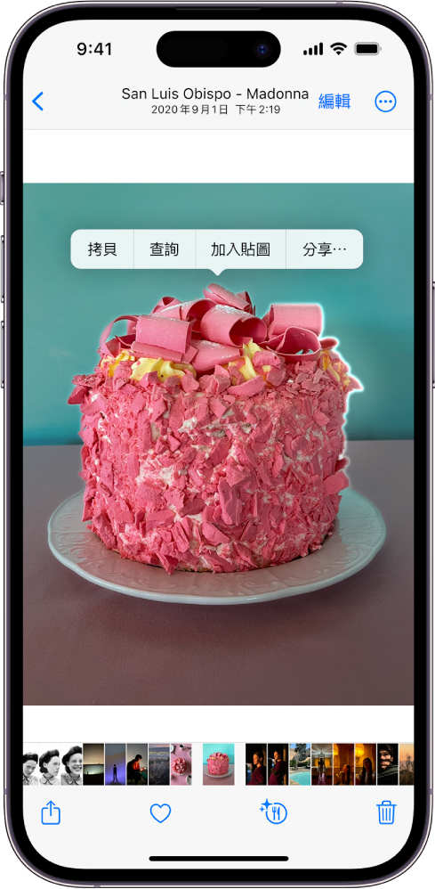 「照片」App 圖庫中的一張照片打開。照片中心的主體加上外框，而「拷貝」、「查詢」、「加入貼圖」和「分享」按鈕出現在其上方。