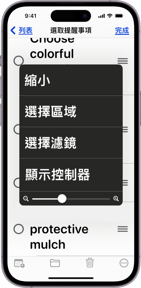 顯示「縮放」選單的 iPhone。