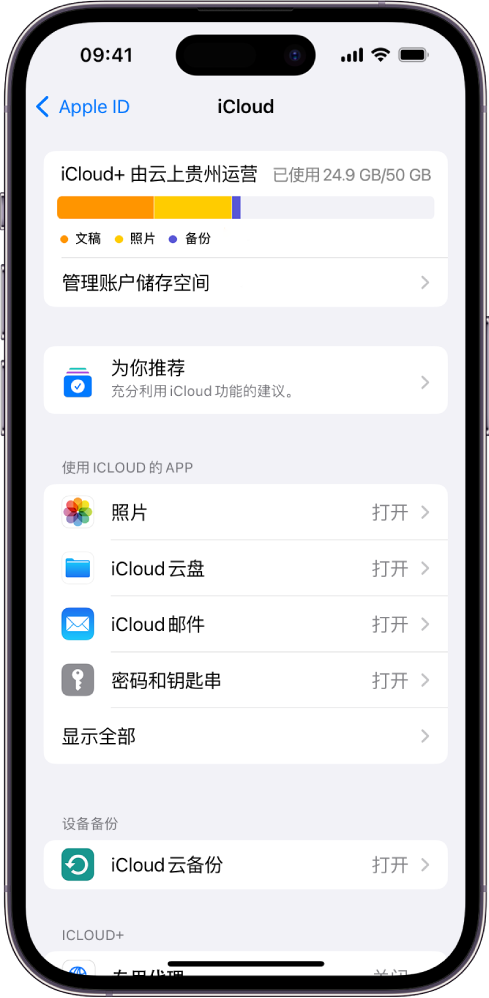 iCloud 设置屏幕，显示 iCloud 储存空间指示器和可配合 iCloud 使用的 App 及功能的列表，包括“照片”、iCloud 云盘和 iCloud 邮件。