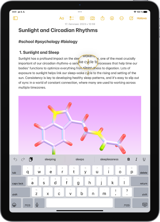 Poznámka s kurzorem na místě, kde má být vložen nebo upraven text. Okolní text je pro snazší umístění kurzoru zvětšený.