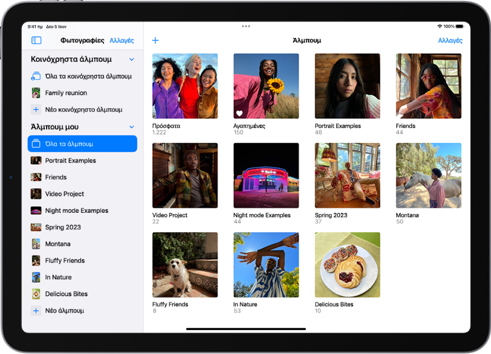 Η πλαϊνή στήλη Φωτογραφιών είναι ανοιχτή στην αριστερή πλευρά της οθόνης. Στο τμήμα «Άλμπουμ μου», επιλέγονται «Όλα τα άλμπουμ». Στην υπόλοιπη οθόνη του iPad, εμφανίζονται μικρογραφίες για άλμπουμ σε πλέγμα.