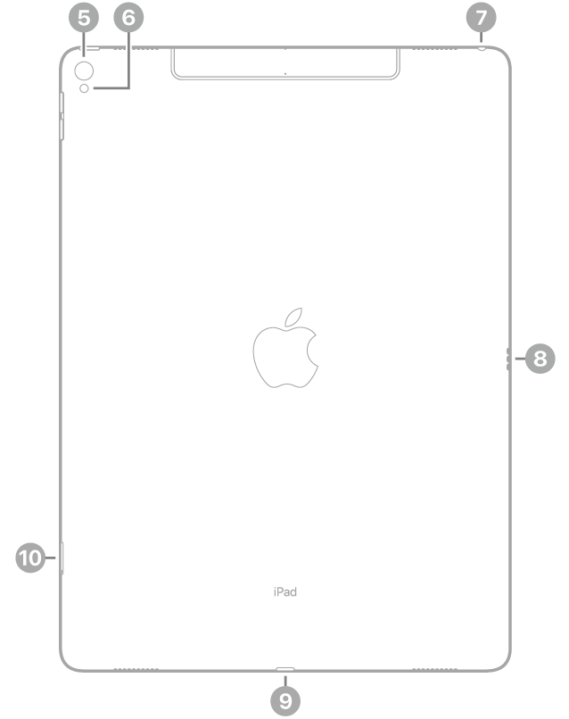 The back view of iPad Pro with callouts to the rear camera and flash at the top left, the headphone jack at the top right, the Smart Connector on the right, the Lightning connector at the bottom center, and the SIM tray (Wi-Fi + Cellular) at the bottom left.