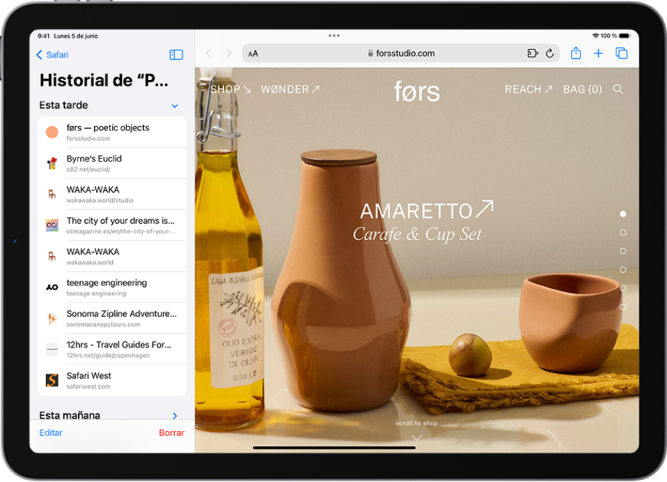Una página web abierta. El historial de navegación de Safari está abierto en el lado izquierdo de la pantalla y muestra una lista de los sitios web visitados recientemente, con el botón Borrar debajo.