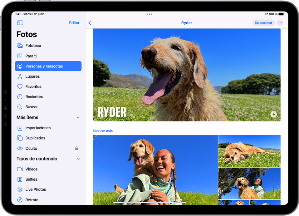 Pantalla “Personas y mascotas” en la app Fotos con un vídeo y fotos de una mascota.