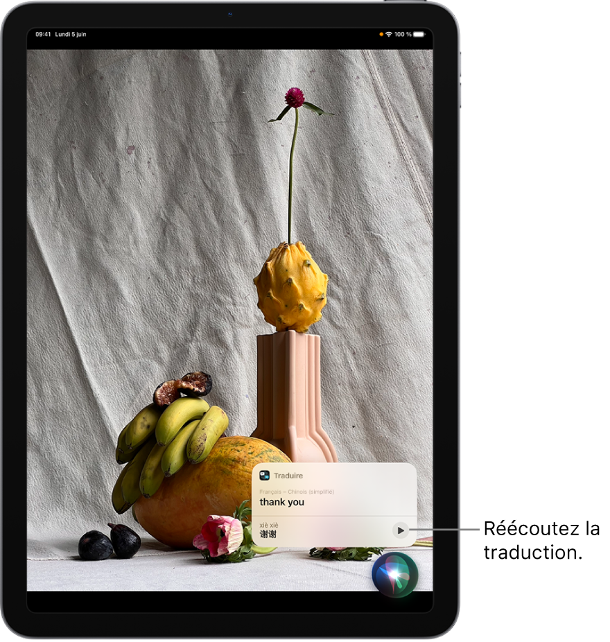 Siri affiche une traduction de l’expression anglaise « thank you » en mandarin. Un bouton situé à droite de la traduction relance l’audio de la traduction.