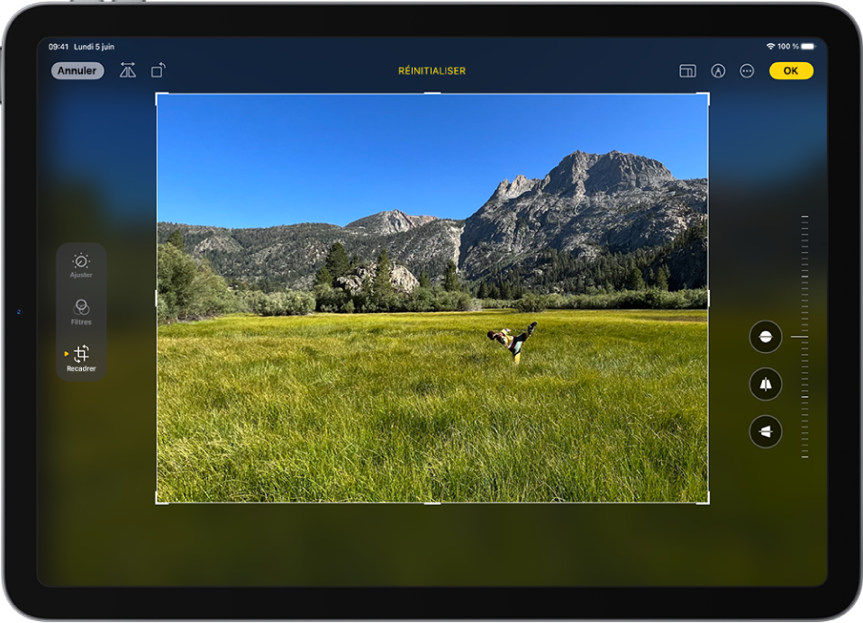 L’écran Modifier dans l’app Photos avec une photo au centre. Sur le côté gauche de l’écran se trouvent les boutons Ajuster, Filtres et Recadrer ; le bouton Recadrer est sélectionné. Sur le côté droit de l’écran se trouvent les options d’amélioration du recadrage et un curseur permettant d’ajuster le niveau de l’effet.