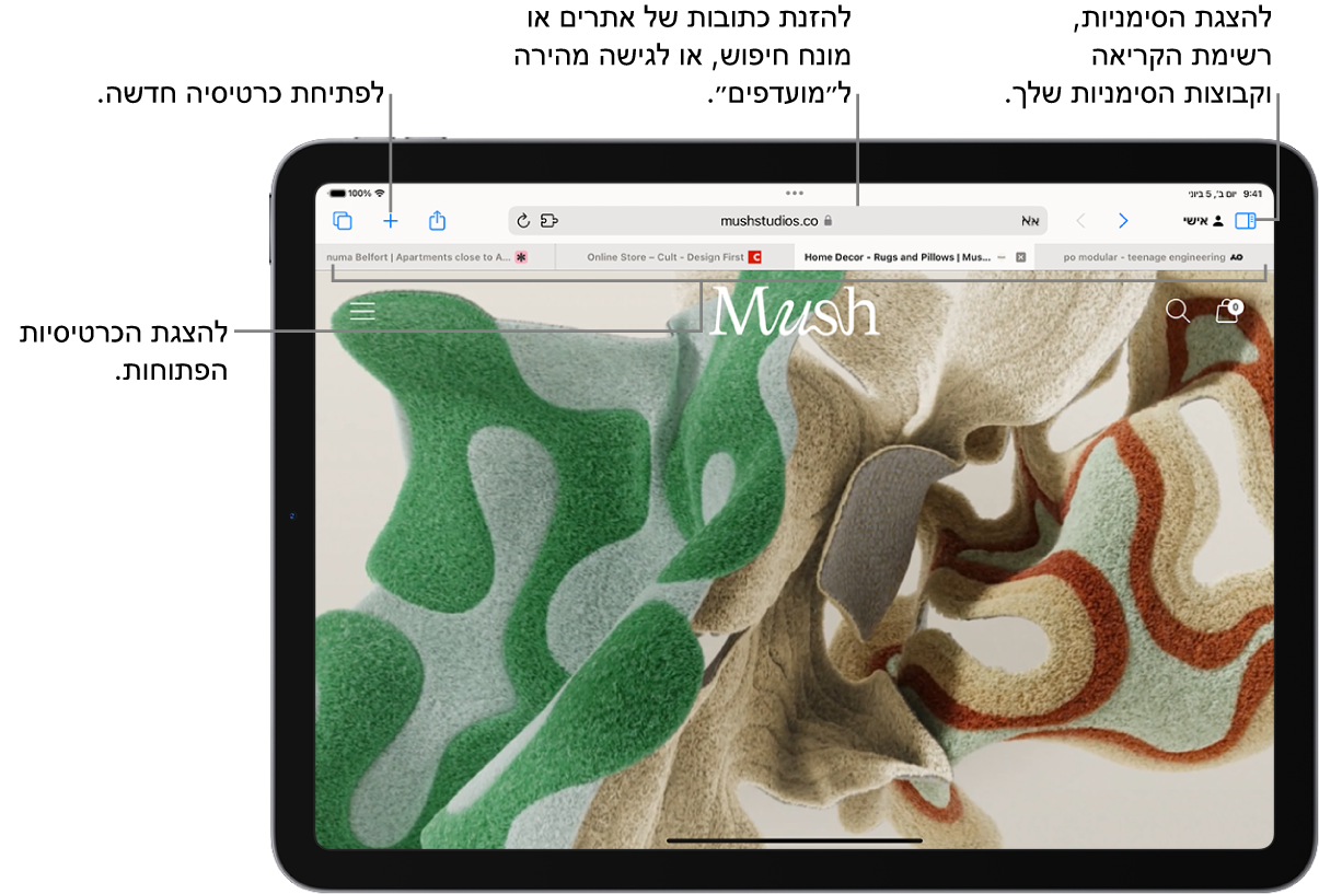 עמוד אינטרנט פתוח. מימין לשמאל לאורך הקצה העליון של המסך מופיעים הכפתור ״סרגל צד״, שמה של ״קבוצת הכרטיסיות״ הפתוחה, הכפתורים ״הקודם״ ו״אחורה״, שדה החיפוש, הכפתור ״שיתוף״, הכפתור ״כרטיסיה חדשה״ והכפתור ״סקירת כרטיסיות״.