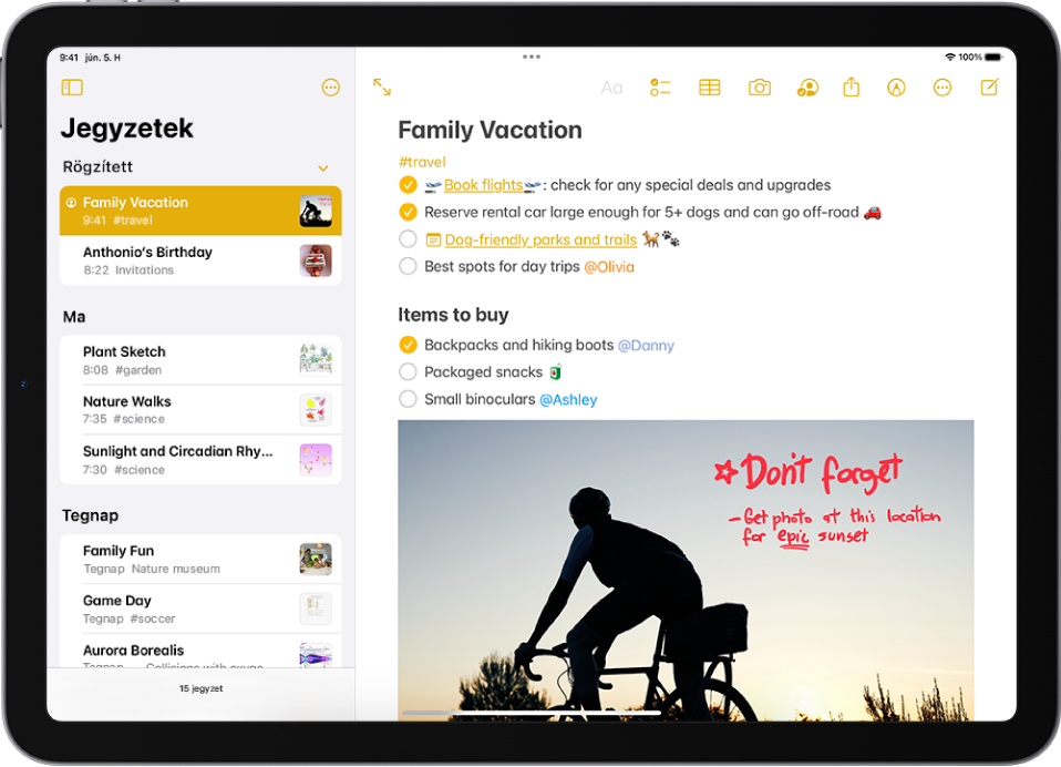 Jegyzet egy családi vakáció teendőivel. A jegyzetben szerepel egy weboldalra mutató link, egy másik jegyzetre mutató link, a megvásárolandó dolgok listája, ezenkívül egy fotó a képernyő alján.