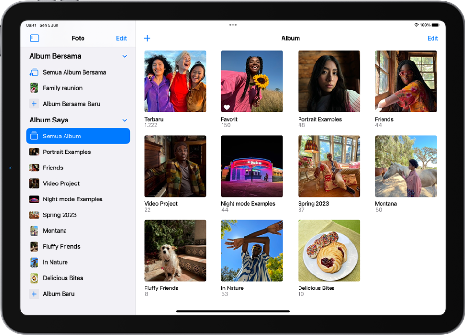 Bar samping Foto dibuka di sisi kiri layar. Di bawah heading Album Saya, Semua Album dipilih. Sisa layar iPad menampilkan gambar mini untuk album di grid.