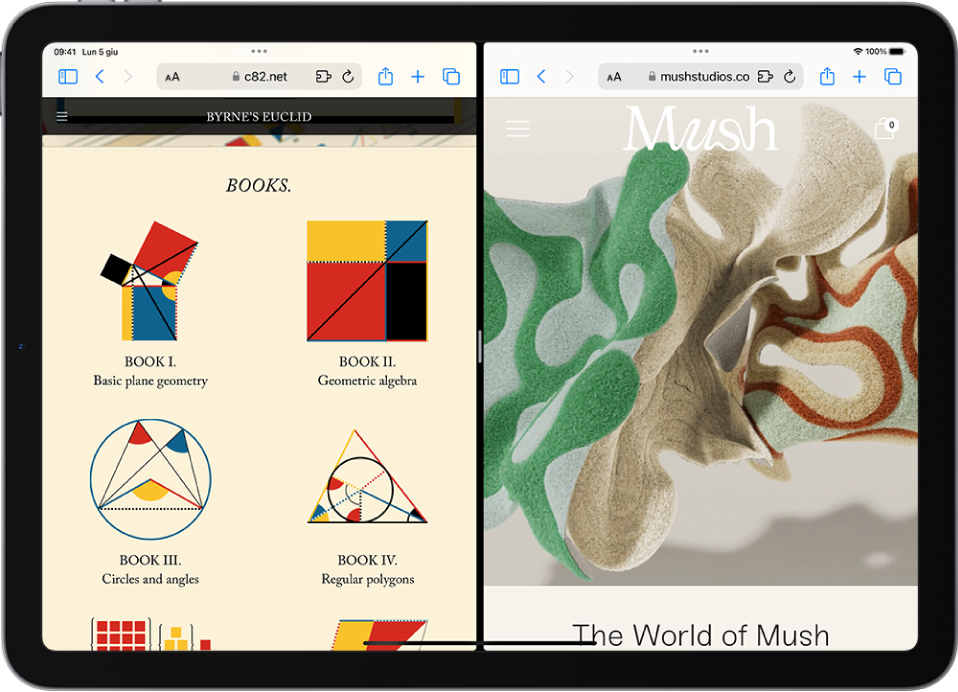 Lo schermo mostra due pagine web diverse, separate da un divisore regolabile. Nella parte superiore di ciascuna pagina web è presente l’icona per i controlli multitasking.