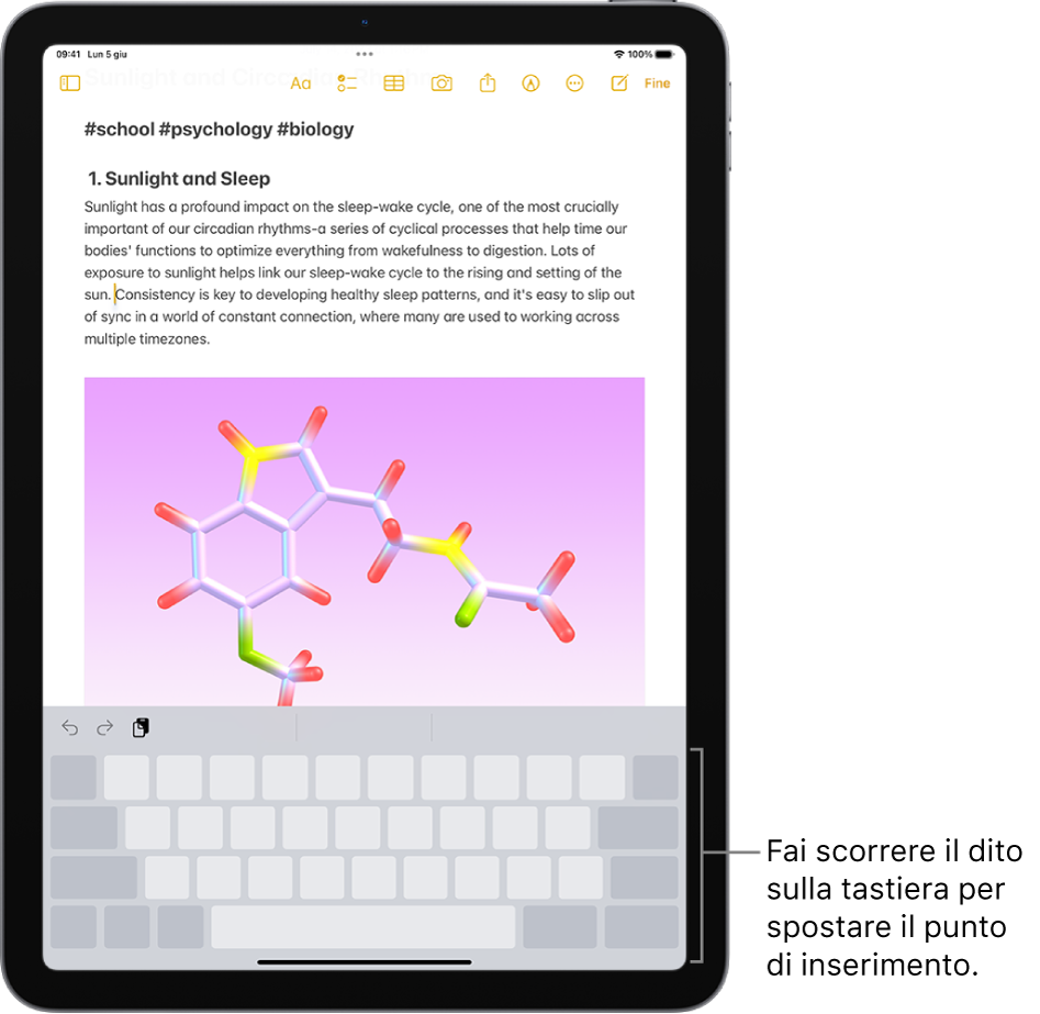 Nell’app Note è presente un documento aperto. Nella metà inferiore è presente la tastiera su schermo in modalità trackpad.