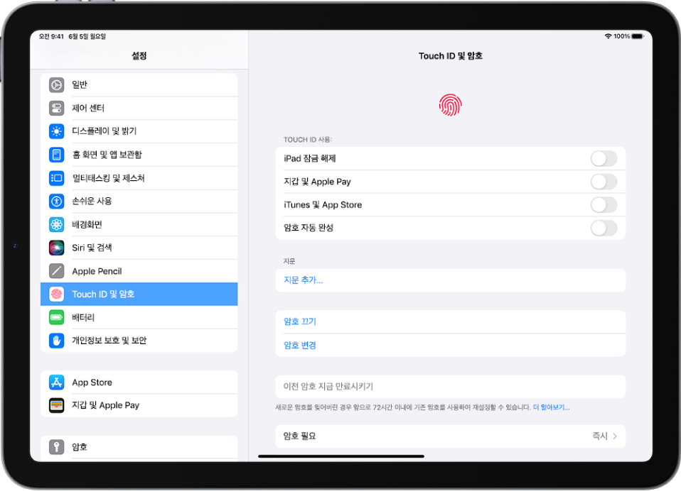 화면 왼쪽에 설정 사이드바가 있고 Touch ID 및 암호가 선택되어 있음. 화면 오른쪽에는 Touch ID로 어떤 기능의 잠금을 해제할지 선택할 수 있는 옵션이 있음. iPad 잠금 해제, 지갑 및 Apple Pay, iTunes 및 App Store, 암호 자동 완성은 모두 꺼져 있음.