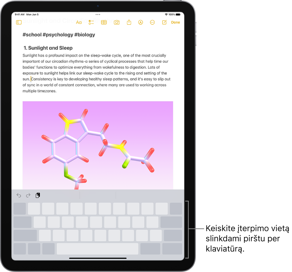 Programoje „Notes“ atidarytas dokumentas. Ekraninė klaviatūra apatinėje ekrano dalyje veikia jutiklinio pulto režimu.