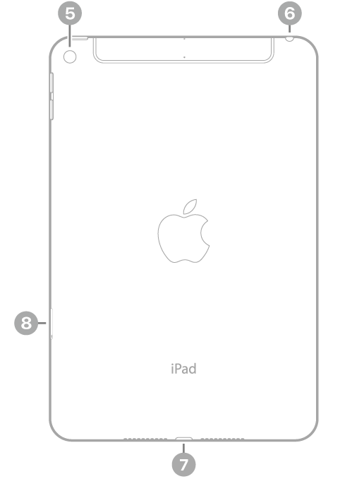 Skats uz iPad mini aizmuguri ar atsaucēm uz aizmugurējo kameru augšējā kreisajā pusē, austiņu ligzdu pusē, Lightning savienotāju apakšā pa vidu, bet SIM turētāju (Wi-Fi + Cellular) apakšā pa kreisi.