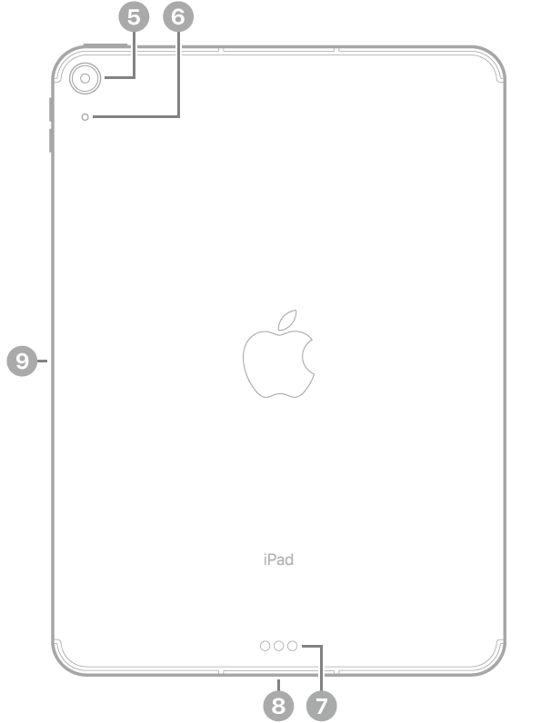 Pandangan belakang iPad Air 11 inci (M2) dengan petak bual ke kamera belakang di bahagian kiri atas, penyambung Smart Connector dan USB-C di bahagian tengah bawah, dulang SIM (Wi-Fi + Cellular) di bahagian kiri bawah dan penyambung magnetik untuk Apple Pencil di sebelah kiri.