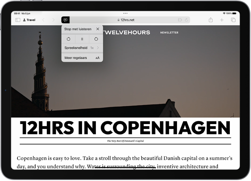 Een website is geopend in Safari. De knop 'Pagina-instellingen' is geselecteerd en er worden luisterregelaars weergegeven.