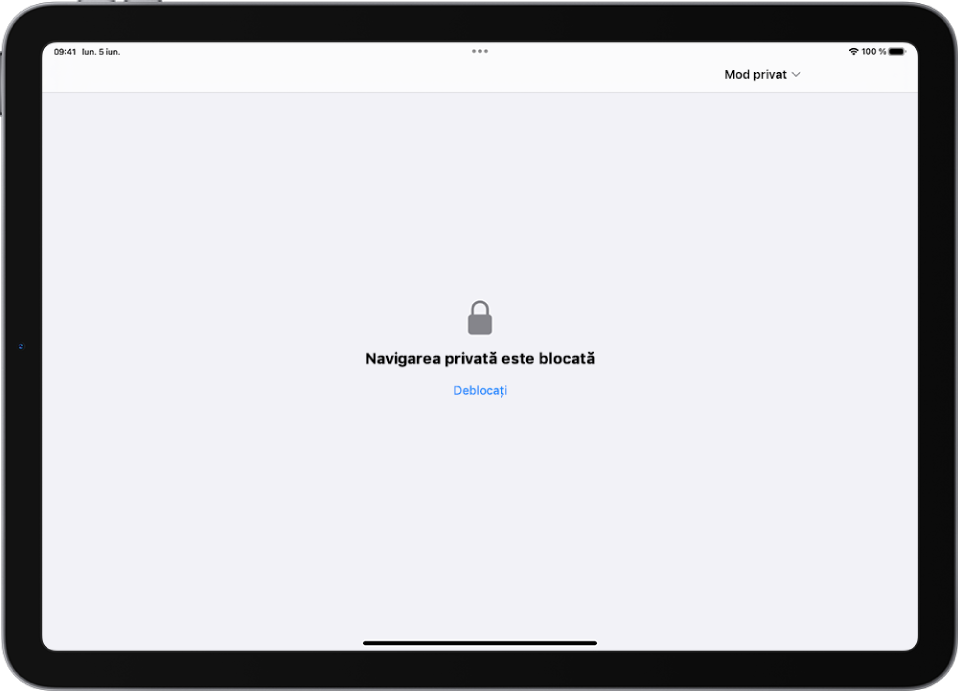 Safari este deschis la Navigare privată. În centru ecranului sunt cuvintele Navigarea privată este blocată. Dedesubt se află butonul Deblocați.
