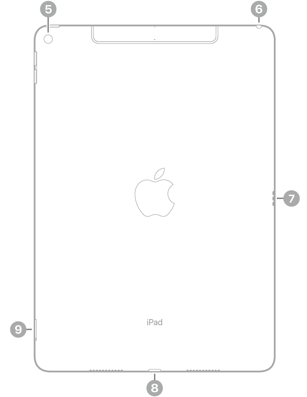 Vedere din spate a unui iPad Air cu explicații pentru camera din spate în stânga sus, conectorul de căști în dreapta sus, conectorul Smart Connector în dreapta, conectorul Lightning în partea centrală jos și compartimentul SIM (Wi-Fi + Cellular) în stânga jos.