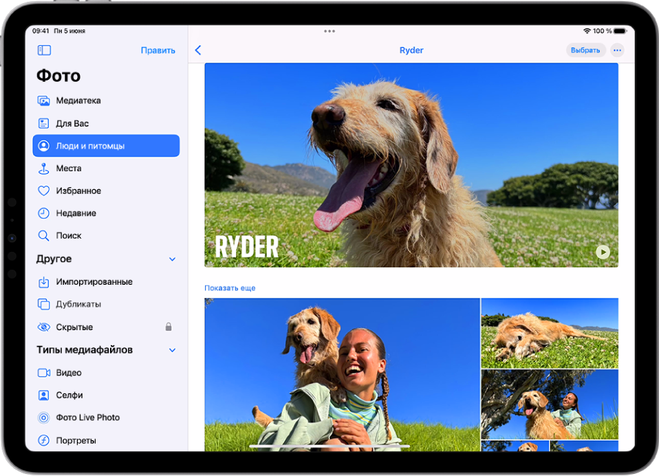 На экране «Люди и питомцы» в приложении «Фото» показано одно видео и несколько фотографий питомца.