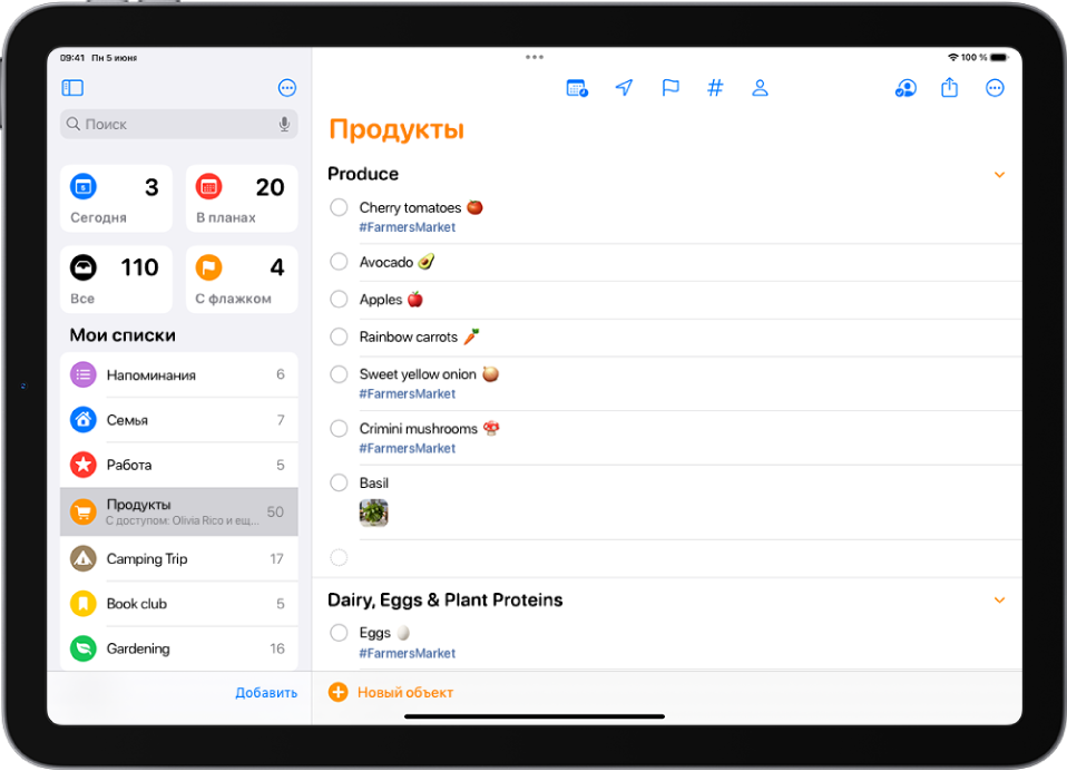 Экран приложения «Напоминания», на котором показан список покупок. В некоторых пунктах есть теги и прикрепленные фотографии. Внизу слева находится кнопка «Новый объект».