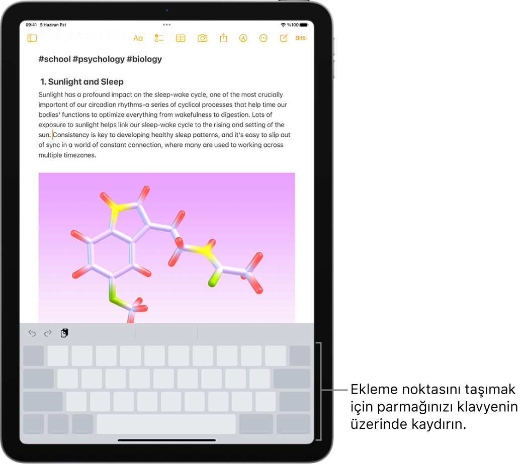 Notlar uygulamasında bir belge açık. Ekranın alt yarısındaki ekran klavyesi izleme dörtgeni modunda.