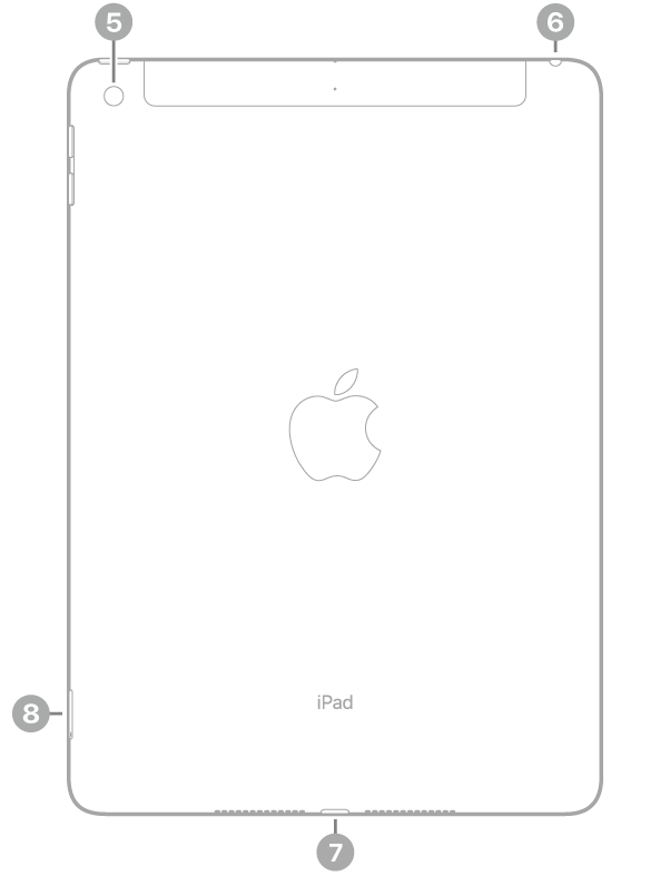 Вигляд iPad ззаду з виносками на задню камеру вгорі зліва, роз’єм для навушників угорі справа, з’єднувач Lightning внизу по центру і тримач SIM-картки (Wi-Fi + Cellular) унизу зліва.