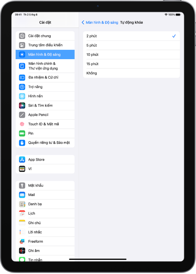 Màn hình Tự động khóa, với các cài đặt cho khoảng thời gian trước khi iPad tự động khóa.