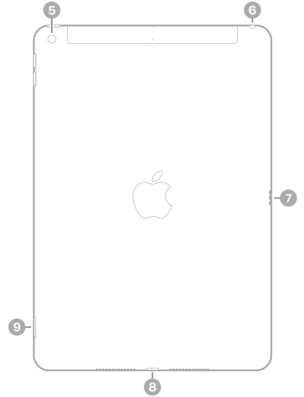 Mặt sau của iPad với các chú thích đến camera sau ở trên cùng bên trái, giắc cắm tai nghe ở trên cùng bên phải, Smart Connector ở bên phải, đầu nối Lightning ở chính giữa dưới cùng và khay SIM (Wi-Fi + Cellular) ở dưới cùng bên trái.