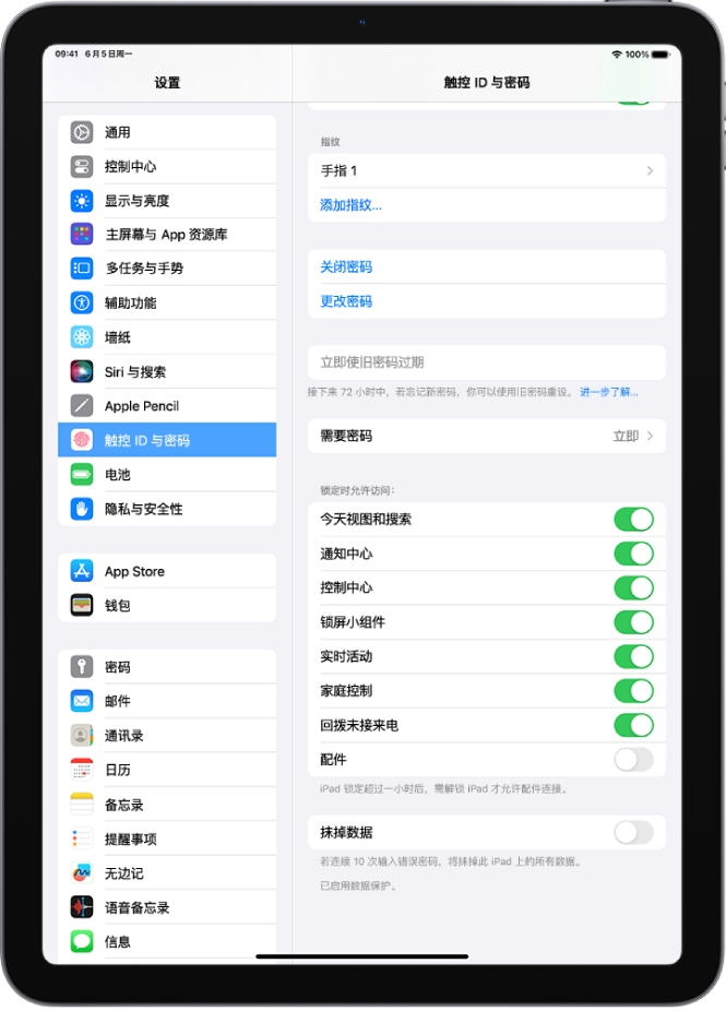 “触控 ID 与密码”设置，显示 iPad 锁定时允许访问特定功能的选项。