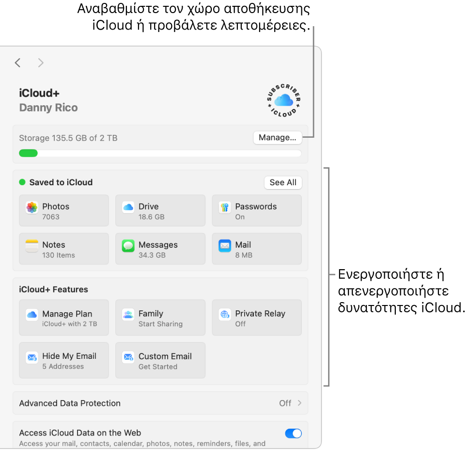 Ρυθμίσεις iCloud με όλες τις δυνατότητες ενεργοποιημένες.