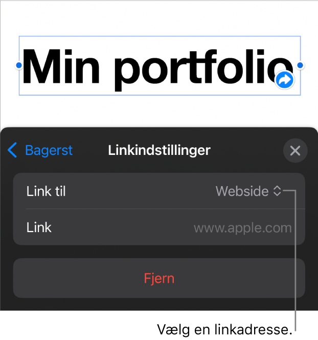 Webside er valgt i betjeningsmulighederne til Linkindstillinger, og nederst er knappen Fjern.