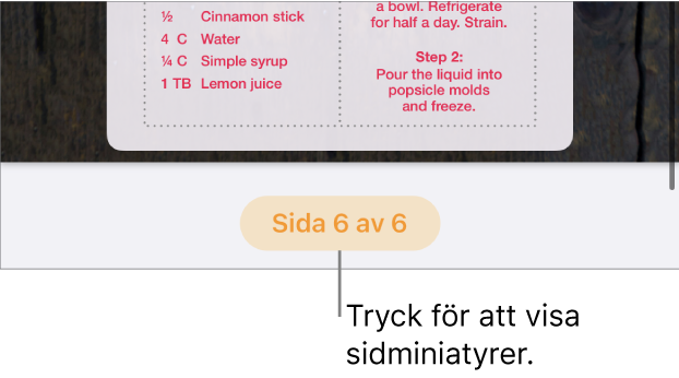 Ett öppet dokument med sidnummerknappen längst ned i mitten på skärmen.