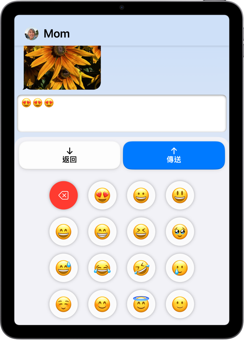 進入「自訂輔助取用」且打開「訊息」App 的 iPad。可以使用只含表情符號的鍵盤來傳送訊息。