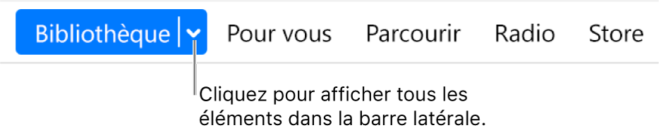 Le bouton Bibliothèque dans la barre de navigation, affichant le menu contextuel; cliquez dessus pour accéder à tous les éléments de la barre latérale lorsque celle-ci est masquée.