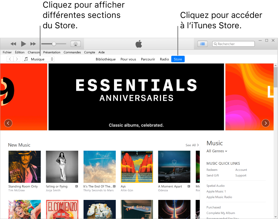 La fenêtre principale de l’iTunes Store : Dans la barre de navigation, Store est surligné. Dans le coin supérieur gauche, choisissez de voir différents contenus dans l’iTunes Store (par exemple Musique ou Émissions de télévision).