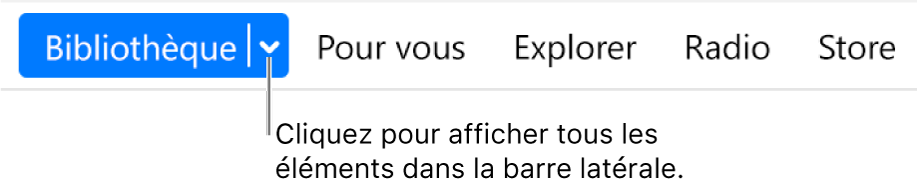 Le bouton Bibliothèque dans la barre de navigation affichant le menu local ; cliquez dessus pour accéder à tous les éléments de la barre latérale lorsque vous la masquez.