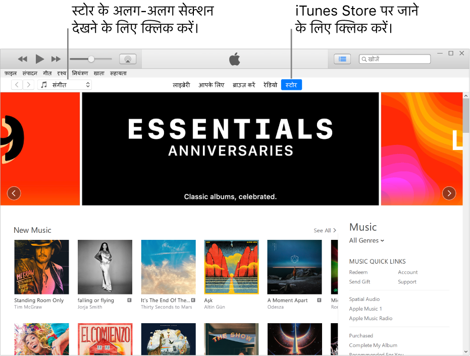 iTunes Store मुख्य विंडो: नैविगेशन बार में, Store हाईलाइट किया जाता है। शीर्ष-बाएँ कोने में Store के विभिन्न कॉन्टेंट (जैसे कि संगीत या टीवी) देखने का विकल्प चुनें।