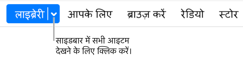 पॉप-अप मेनू दिखाता नैविगेशन बार में मौजूद लाइब्रेरी बटन; साइडबार छिपाने पर सभी साइडबार आइटम को ऐक्सेस करने के लिए उस पॉप-अप मेनू पर क्लिक करें।