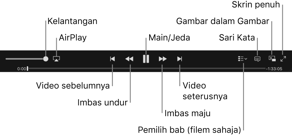 Kawalan video: Kelantangan, AirPlay, Video sebelumnya, Imbas undur, Main/Jeda, Imbas depan, Video seterusnya, Pemilih bab (untuk filem sahaja), Sari Kata, Gambar dalam Gambar dan Skrin penuh.
