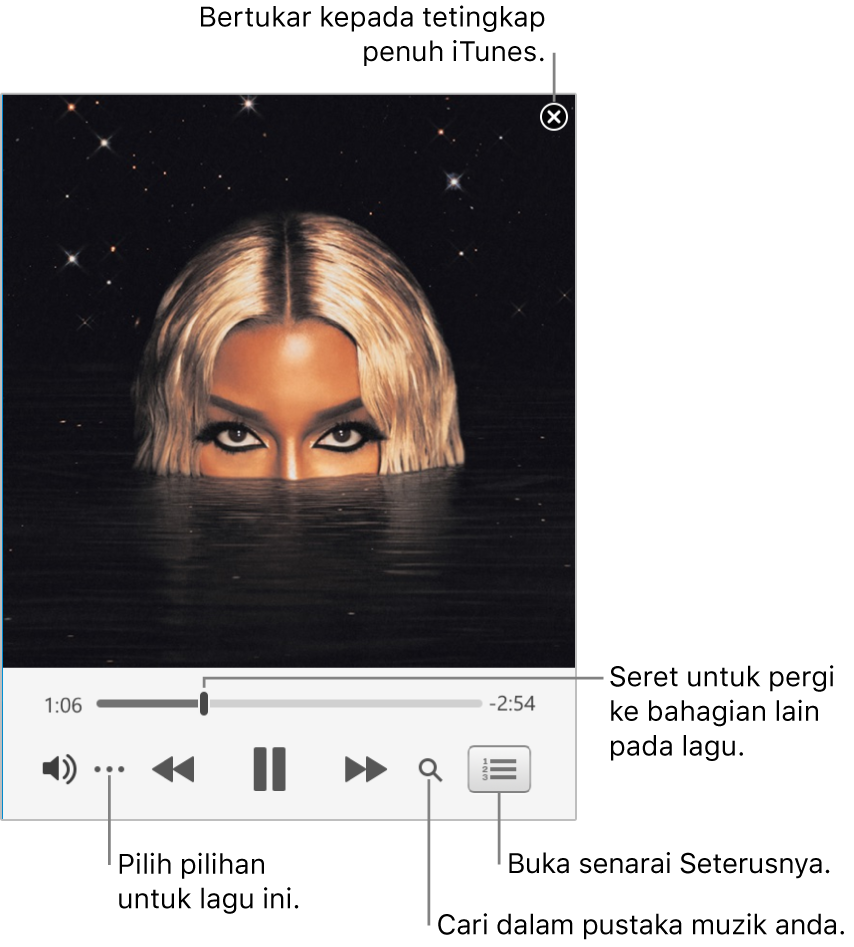 Pemain Mini dikembangkan menunjukkan kawalan untuk lagu yang sedang dimainkan. Di penjuru kanan atas ialah butang tutup, digunakan untuk bertukar kepada tetingkap penuh iTunes. Di bahagian bawah tetingkap ialah gelangsar yang anda boleh seret untuk pergi ke tempat berlainan dalam lagu. Di bawah gelangsar di sebelah kiri ialah butang Lagi, yang anda pilih pilihan paparan dan pilihan lain untuk lagu yang sedang dimainkan. Di bahagian hujung kanan di bawah gelangsar ialah dua butang—kaca pembesar untuk mencari dalam pustaka muzik dan senarai Seterusnya untuk melihat lagu yang akan dimainkan.